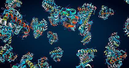 3D illustrations of protein structures. 3D illustrations of protein structures.