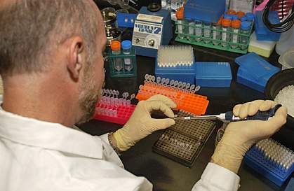 A scientist preparing DNA for analysis A scientist preparing DNA for analysis.