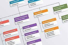 Organization chart Organization chart