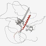 Digital illustration of a protein containing a cryptic peptide that results from a lack of functional TDP-43