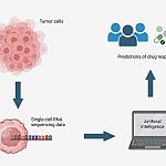 flow chart of tumor > sequencing > AI analysis > drug/patient match